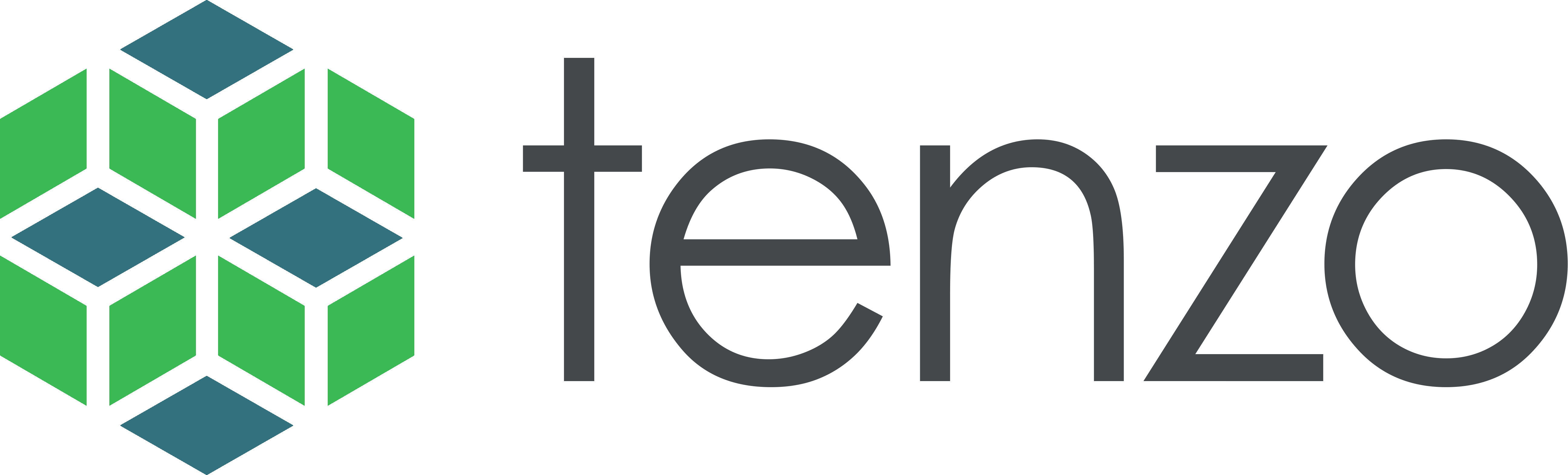 Tenzo_Logo_Color.png